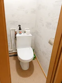 Миниатюра квартиры 19