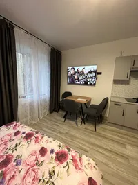 Миниатюра квартиры 13