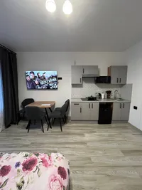 Миниатюра квартиры 17