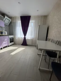 Миниатюра квартиры 5