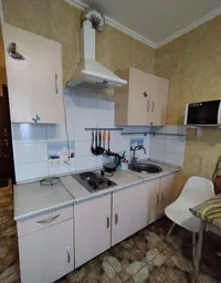 Миниатюра квартиры 10