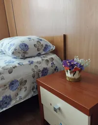 Миниатюра квартиры 4
