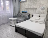 Миниатюра квартиры 5