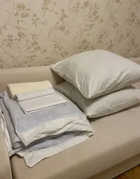 Миниатюра квартиры 21