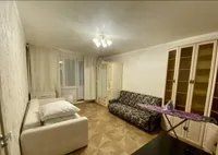 Миниатюра квартиры 24